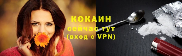 крисы Беломорск