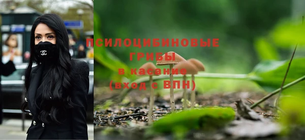 крисы Беломорск