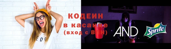 крисы Беломорск