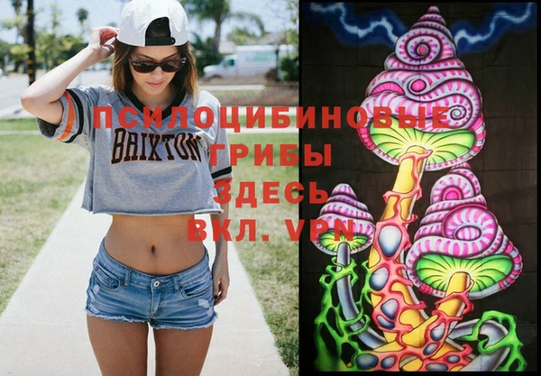 PSILOCYBIN Белокуриха