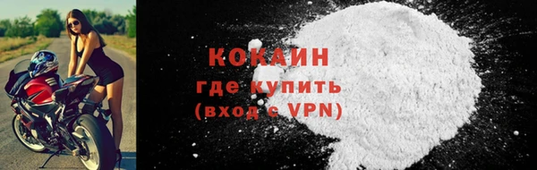 PSILOCYBIN Белокуриха