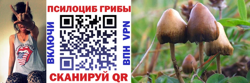 Галлюциногенные грибы Magic Shrooms Купить закладки Дюртюли