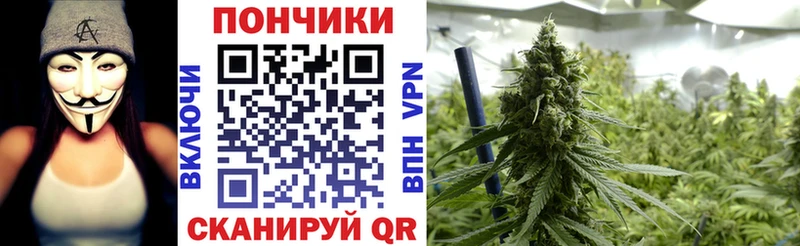 Бошки марихуана Bruce Banner  Купить закладки  Дюртюли 